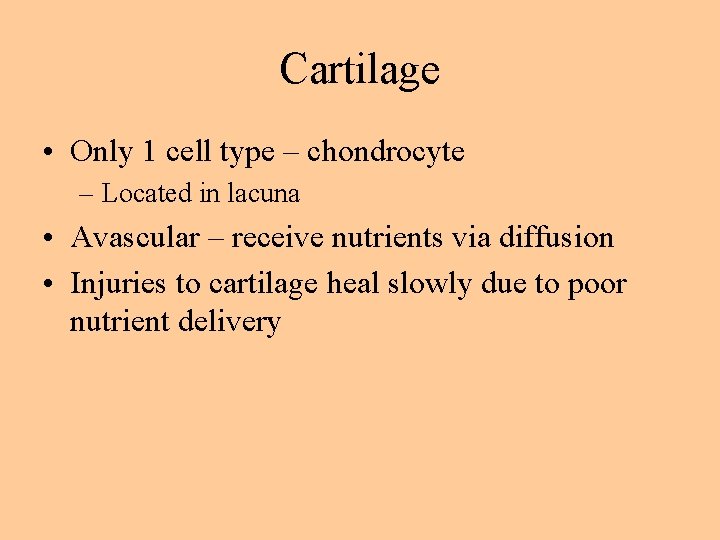 Cartilage • Only 1 cell type – chondrocyte – Located in lacuna • Avascular