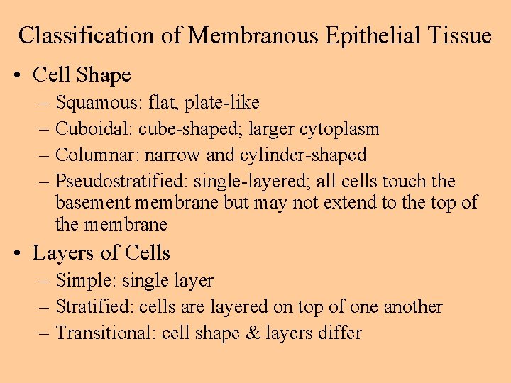 Classification of Membranous Epithelial Tissue • Cell Shape – Squamous: flat, plate-like – Cuboidal: