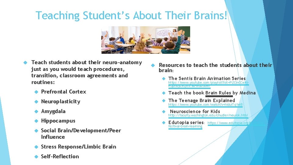 Teaching Student’s About Their Brains! Teach students about their neuro-anatomy just as you would