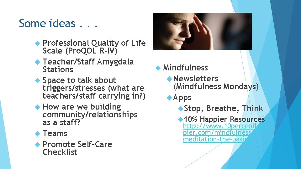 Some ideas. . . Professional Quality of Life Scale (Pro. QOL R-IV) Teacher/Staff Amygdala