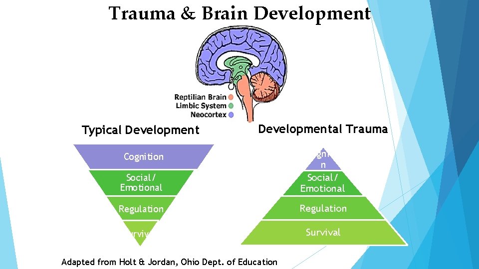 Trauma & Brain Development Typical Developmental Trauma Social/ Emotional Cognitio n Social/ Emotional Regulation