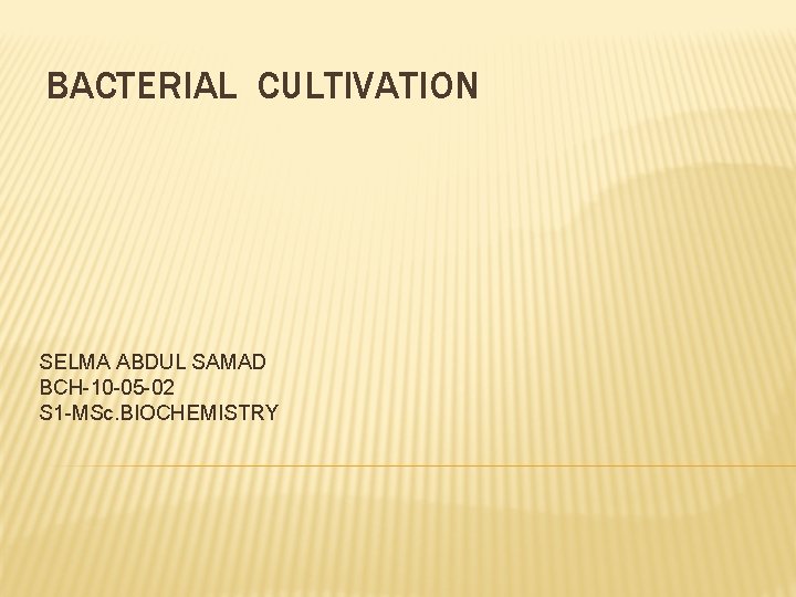 BACTERIAL CULTIVATION SELMA ABDUL SAMAD BCH-10 -05 -02 S 1 -MSc. BIOCHEMISTRY 