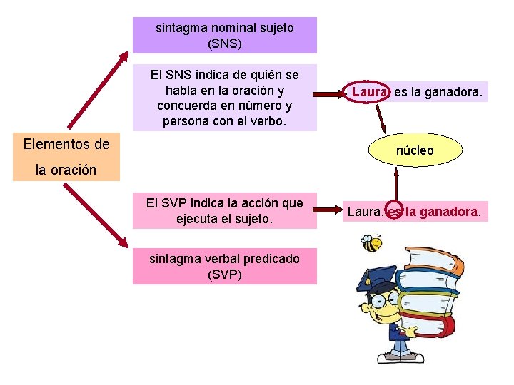 sintagma nominal sujeto (SNS) El SNS indica de quién se habla en la oración