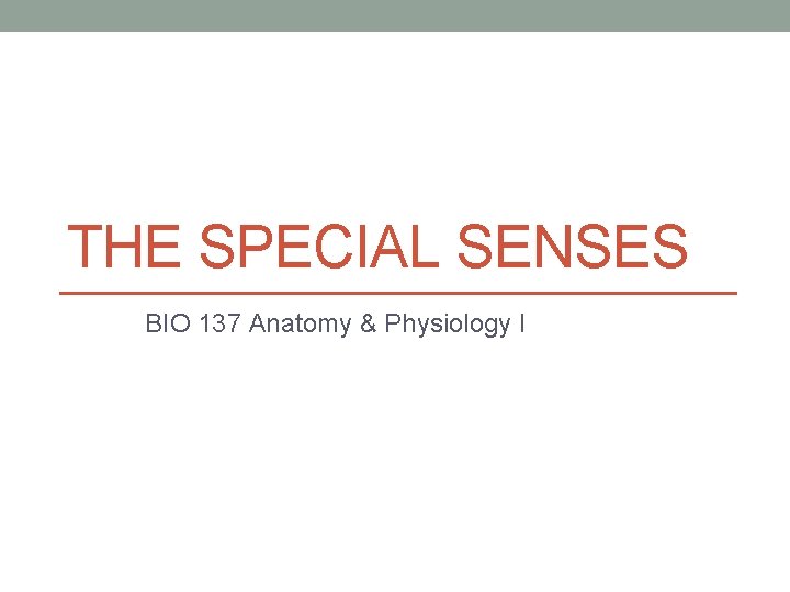 THE SPECIAL SENSES BIO 137 Anatomy & Physiology I 