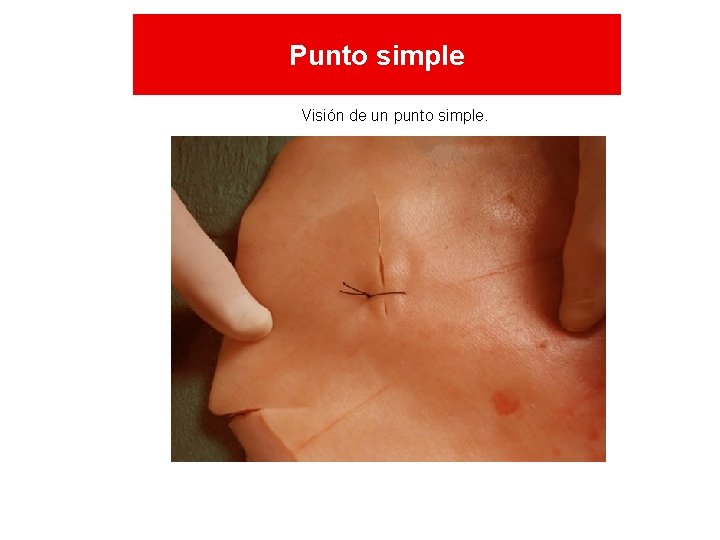 Punto simple Visión de un punto simple. Punto simple Visión de un punto simple.