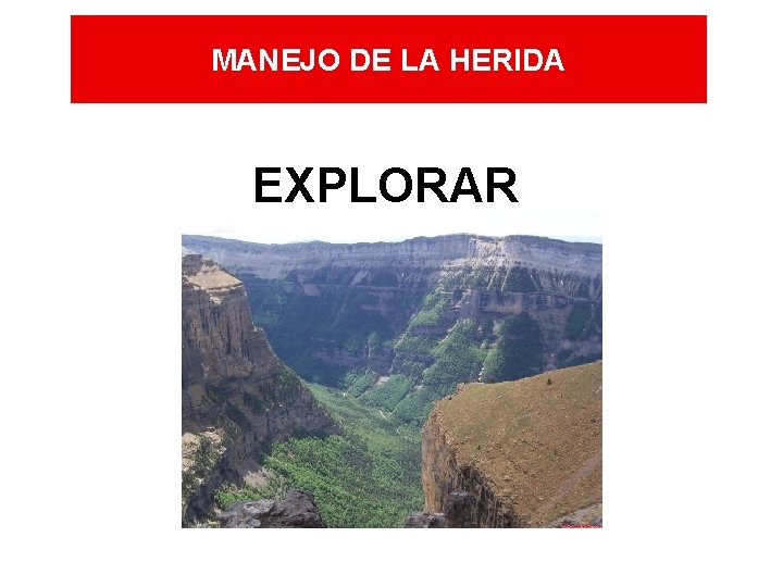 MANEJO DE LA HERIDA EXPLORAR MANEJO DE LA HERIDA EXPLORAR