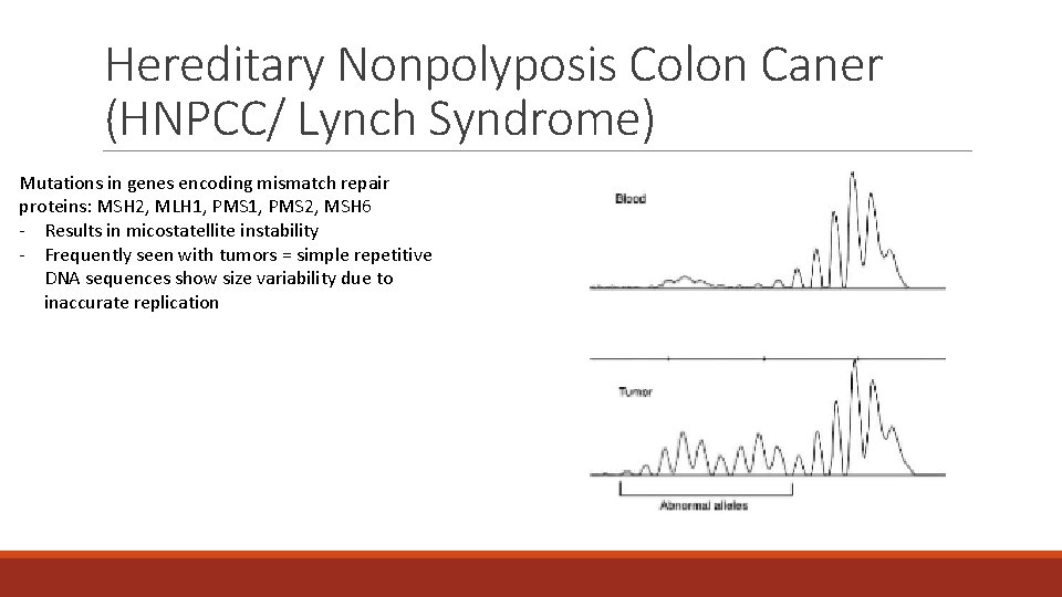 Hereditary Nonpolyposis Colon Caner (HNPCC/ Lynch Syndrome) Mutations in genes encoding mismatch repair proteins: Hereditary Nonpolyposis Colon Caner (HNPCC/ Lynch Syndrome) Mutations in genes encoding mismatch repair proteins: