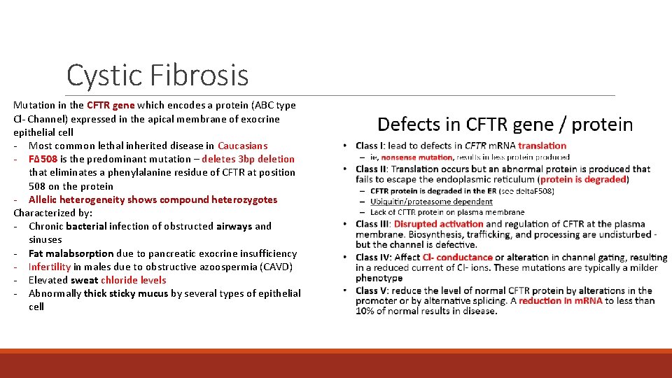 Cystic Fibrosis Mutation in the CFTR gene which encodes a protein (ABC type Cl- Cystic Fibrosis Mutation in the CFTR gene which encodes a protein (ABC type Cl-