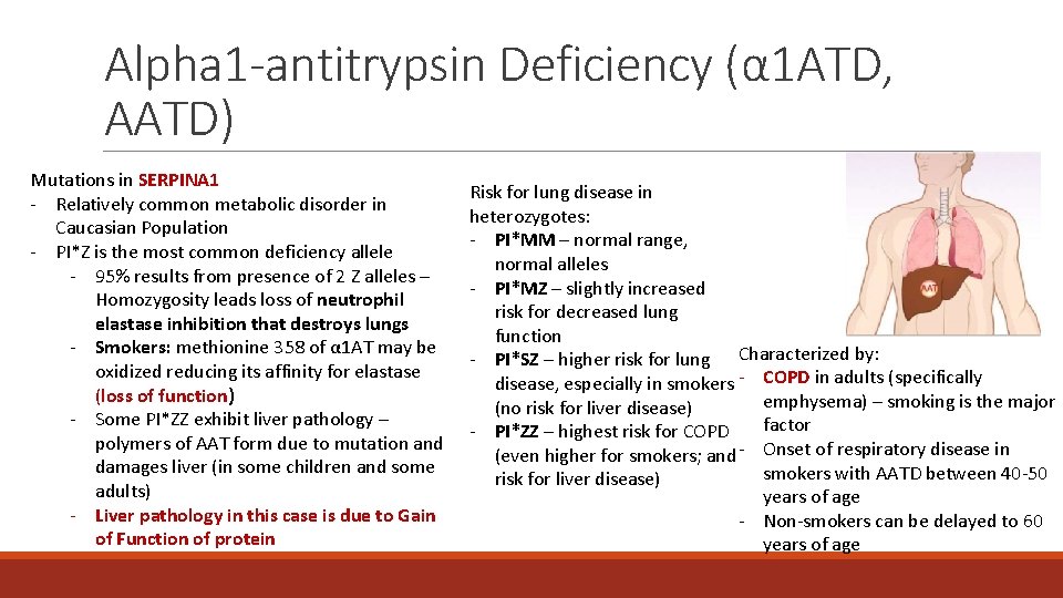 Alpha 1 -antitrypsin Deficiency (α 1 ATD, AATD) Mutations in SERPINA 1 - Relatively Alpha 1 -antitrypsin Deficiency (α 1 ATD, AATD) Mutations in SERPINA 1 - Relatively