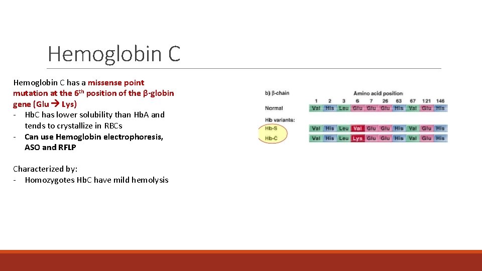 Hemoglobin C has a missense point mutation at the 6 th position of the Hemoglobin C has a missense point mutation at the 6 th position of the