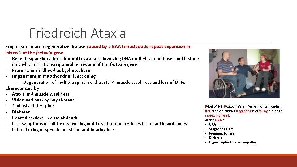 Friedreich Ataxia Progressive neuro-degenerative disease caused by a GAA trinucleotide repeat expansion in intron Friedreich Ataxia Progressive neuro-degenerative disease caused by a GAA trinucleotide repeat expansion in intron