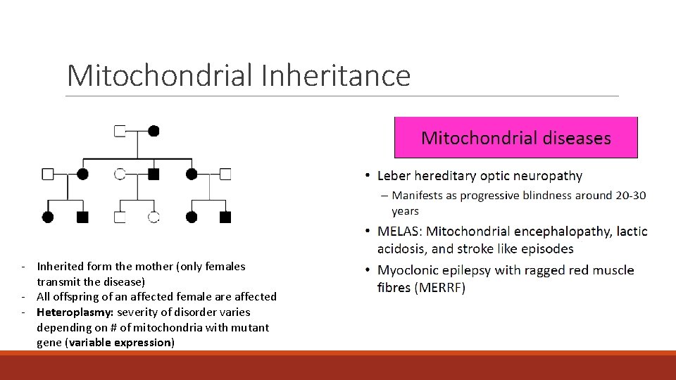 Mitochondrial Inheritance - Inherited form the mother (only females transmit the disease) - All Mitochondrial Inheritance - Inherited form the mother (only females transmit the disease) - All