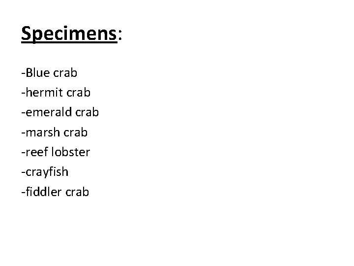Specimens: -Blue crab -hermit crab -emerald crab -marsh crab -reef lobster -crayfish -fiddler crab