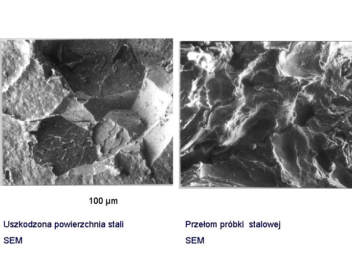 100 μm Uszkodzona powierzchnia stali Przełom próbki stalowej SEM 