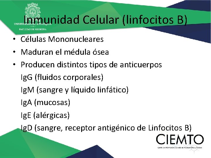 Inmunidad Celular (linfocitos B) • Células Mononucleares • Maduran el médula ósea • Producen