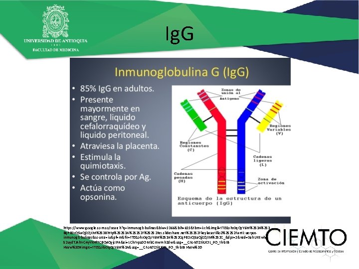 Ig. G https: //www. google. com. co/search? q=inmunoglobulinas&biw=1366&bih=611&tbm=isch&imgil=t. TDZohx 0 q. Qz. Y 6