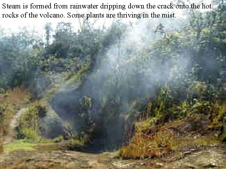 Steam is formed from rainwater dripping down the crack onto the hot rocks of