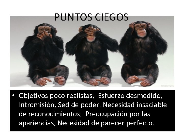 PUNTOS CIEGOS • Objetivos poco realistas, Esfuerzo desmedido, Intromisión, Sed de poder. Necesidad insaciable