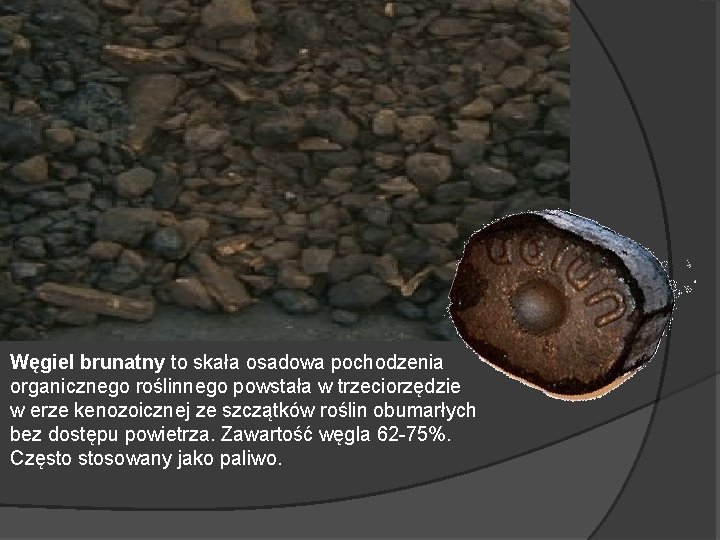 Węgiel brunatny to skała osadowa pochodzenia organicznego roślinnego powstała w trzeciorzędzie w erze kenozoicznej Węgiel brunatny to skała osadowa pochodzenia organicznego roślinnego powstała w trzeciorzędzie w erze kenozoicznej