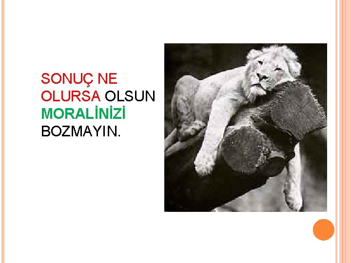 SONUÇ NE OLURSA OLSUN MORALİNİZİ BOZMAYIN. SONUÇ NE OLURSA OLSUN MORALİNİZİ BOZMAYIN.