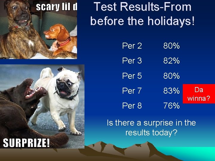 Test Results-From before the holidays! Per 2 80% Per 3 82% Per 5 80% Test Results-From before the holidays! Per 2 80% Per 3 82% Per 5 80%