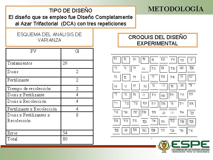 TIPO DE DISEÑO El diseño que se empleo fue Diseño Completamente al Azar Trifactorial