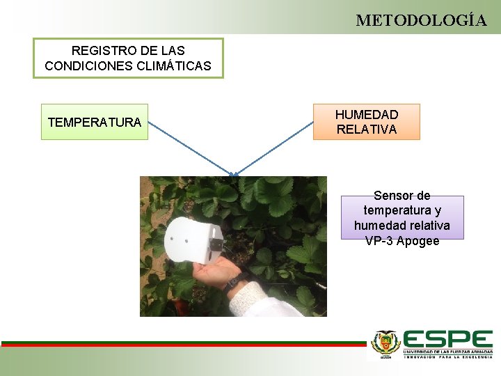 METODOLOGÍA REGISTRO DE LAS CONDICIONES CLIMÁTICAS TEMPERATURA HUMEDAD RELATIVA Sensor de temperatura y humedad