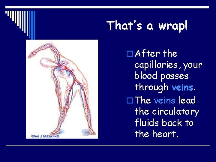 That’s a wrap! o After the capillaries, your blood passes through veins. o The