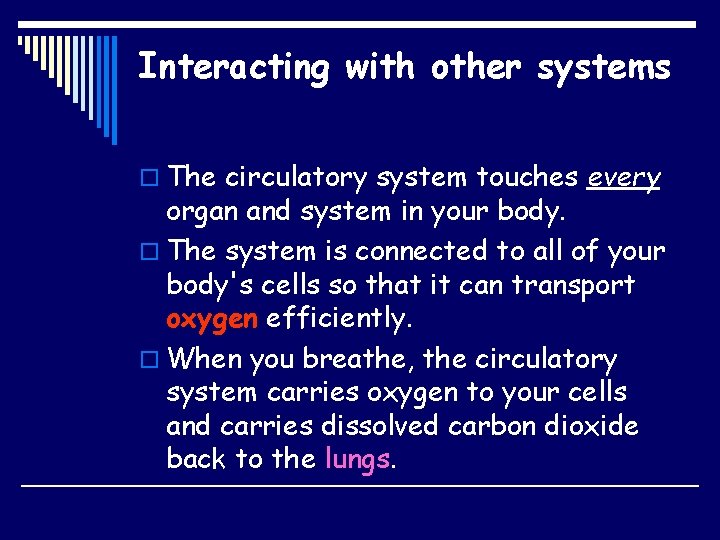 Interacting with other systems o The circulatory system touches every organ and system in