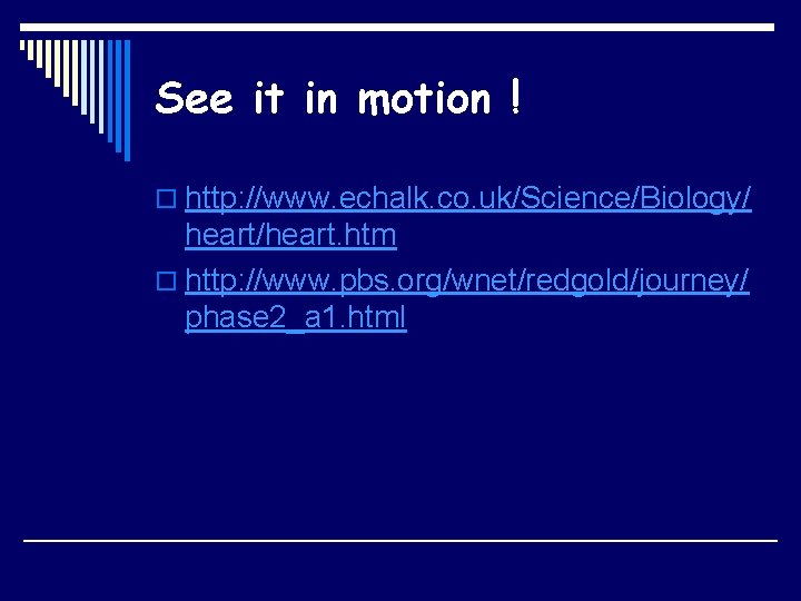 See it in motion ! o http: //www. echalk. co. uk/Science/Biology/ heart/heart. htm o