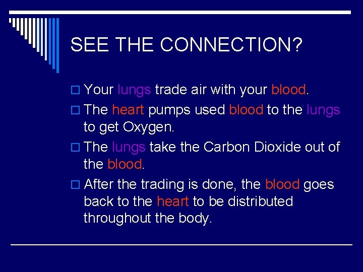 SEE THE CONNECTION? o Your lungs trade air with your blood. o The heart