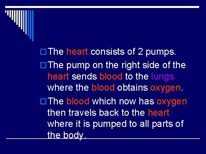 o The heart consists of 2 pumps. o The pump on the right side