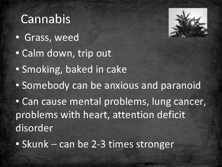 Cannabis • Grass, weed • Calm down, trip out • Smoking, baked in cake