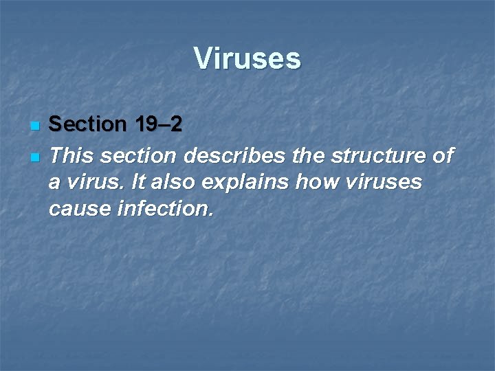Viruses n n Section 19– 2 This section describes the structure of a virus.