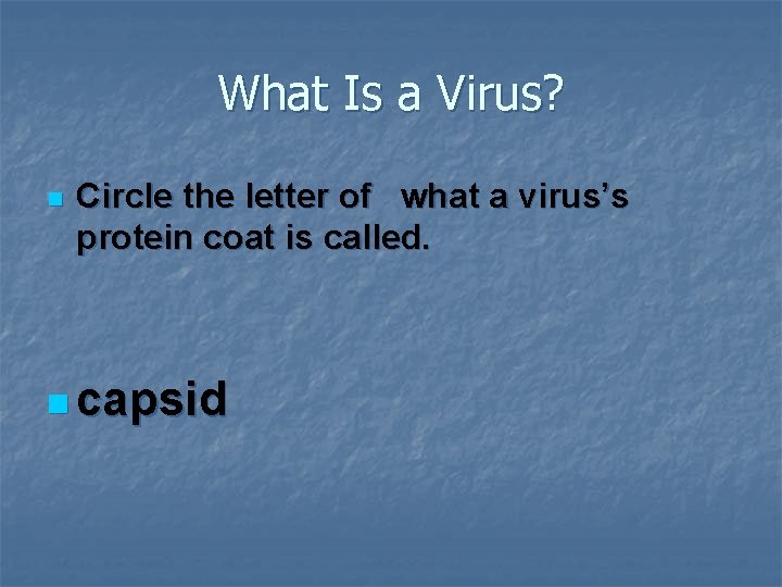 What Is a Virus? n Circle the letter of what a virus’s protein coat