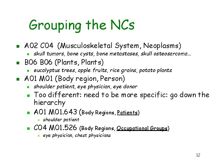 Grouping the NCs n A 02 C 04 (Musculoskeletal System, Neoplasms) n n B