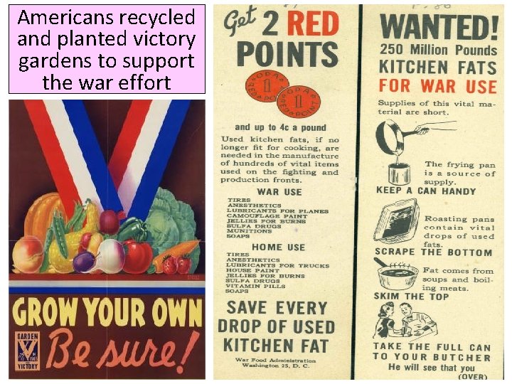 Americans recycled and planted victory gardens to support the war effort 