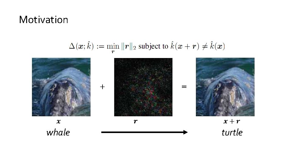 Motivation whale turtle 