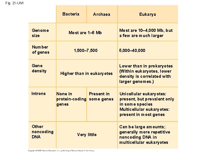 Fig. 21 -UN 1 Bacteria Archaea Genome size Most are 1– 6 Mb Number