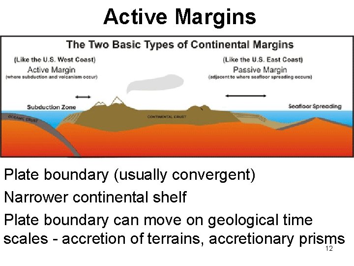 Active Margins Plate boundary (usually convergent) Narrower continental shelf Plate boundary can move on