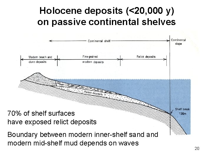 Holocene deposits (<20, 000 y) on passive continental shelves 70% of shelf surfaces have