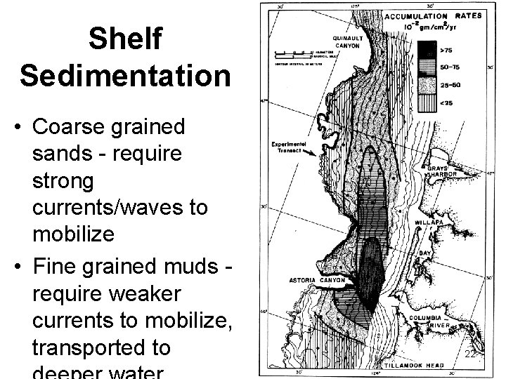 Shelf Sedimentation • Coarse grained sands - require strong currents/waves to mobilize • Fine