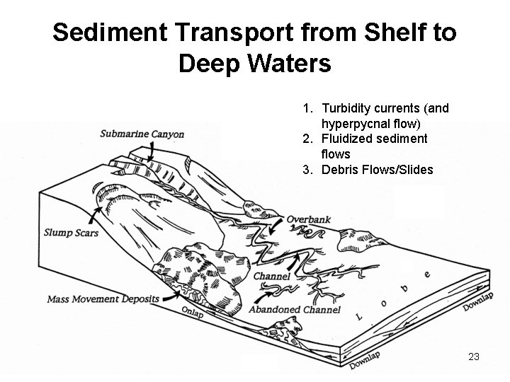 Sediment Transport from Shelf to Deep Waters 1. Turbidity currents (and hyperpycnal flow) 2.