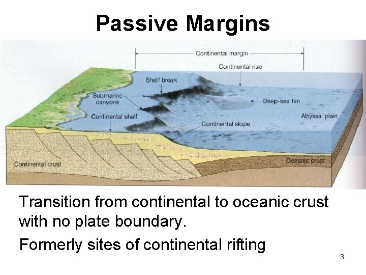 Passive Margins Transition from continental to oceanic crust with no plate boundary. Formerly sites