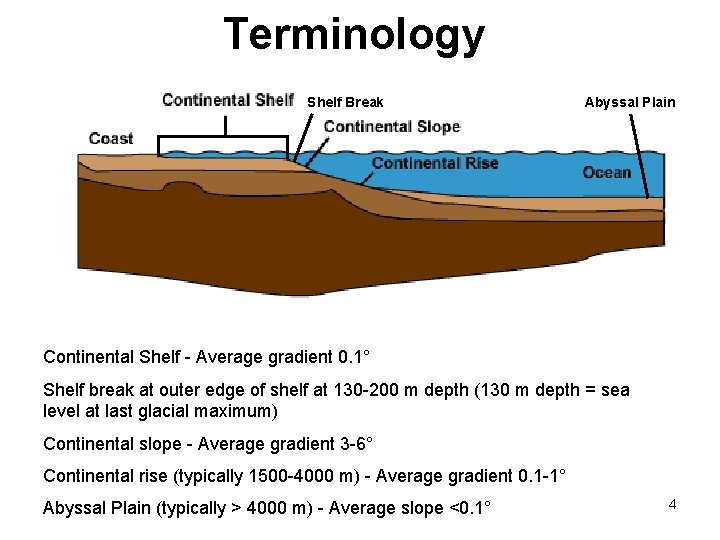 Terminology Shelf Break Abyssal Plain Continental Shelf - Average gradient 0. 1° Shelf break