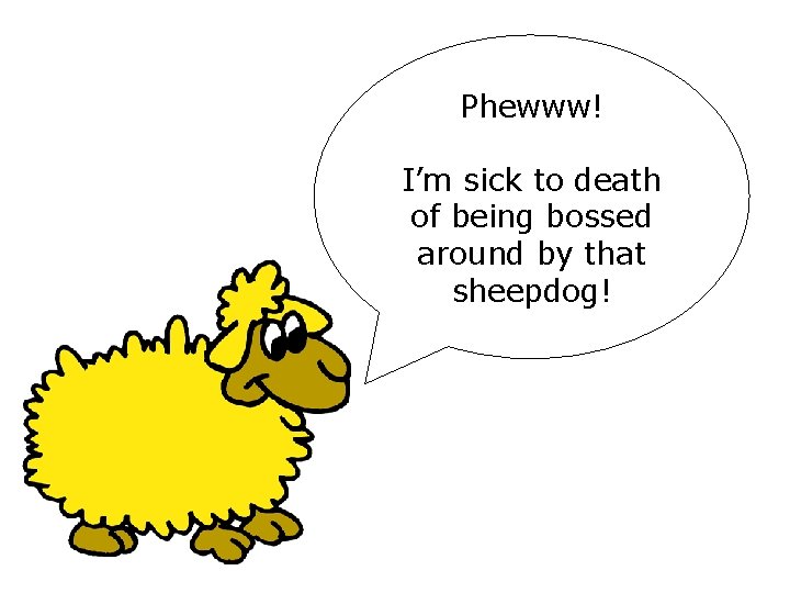 Phewww! I’m sick to death of being bossed around by that sheepdog! Phewww! I’m sick to death of being bossed around by that sheepdog!