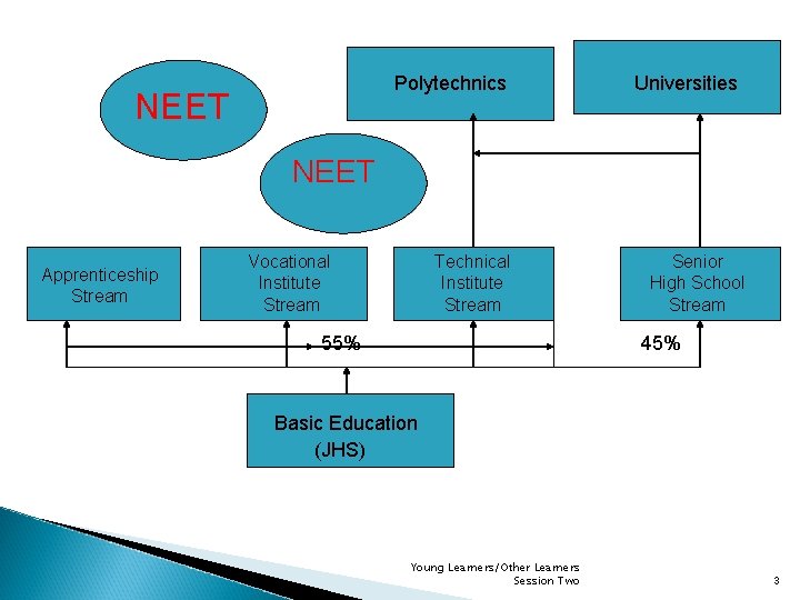 Polytechnics NEET Universities NEET Apprenticeship Stream Vocational Institute Stream Technical Institute Stream 55% Senior Polytechnics NEET Universities NEET Apprenticeship Stream Vocational Institute Stream Technical Institute Stream 55% Senior