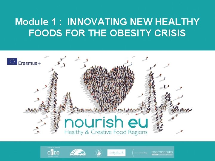 Module 1 : INNOVATING NEW HEALTHY FOODS FOR THE OBESITY CRISIS 
