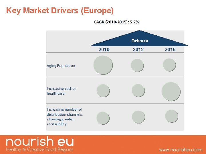 Key Market Drivers (Europe) 