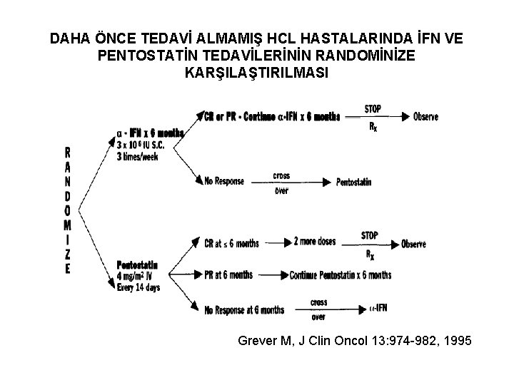 DAHA ÖNCE TEDAVİ ALMAMIŞ HCL HASTALARINDA İFN VE PENTOSTATİN TEDAVİLERİNİN RANDOMİNİZE KARŞILAŞTIRILMASI Grever M,